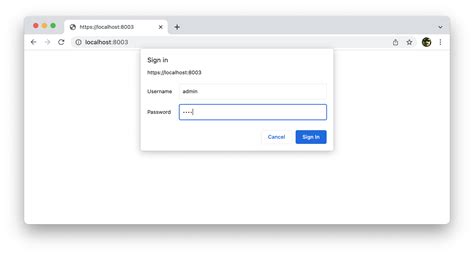 BasicAuth .